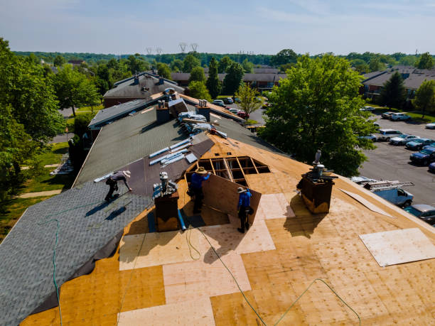 Quick and Trustworthy Emergency Roof Repair Services in Val Verde Park, TX